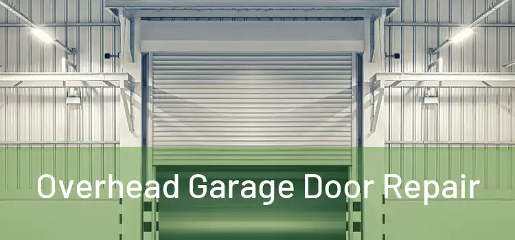  Overhead Garage Door Repair 